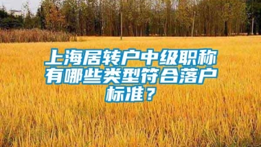 上海居转户中级职称有哪些类型符合落户标准？