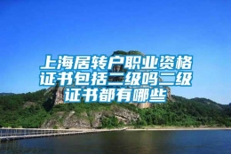 上海居转户职业资格证书包括二级吗二级证书都有哪些