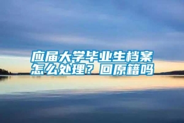 应届大学毕业生档案怎么处理？回原籍吗