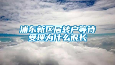 浦东新区居转户等待受理为什么很长