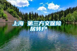 上海 第三方交保险 居转户