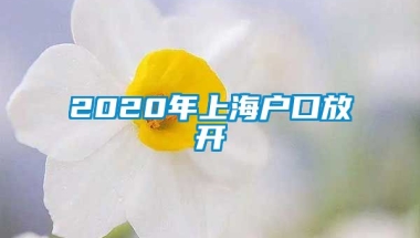 2020年上海户口放开