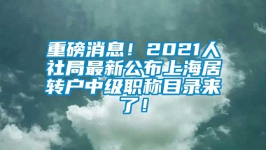 重磅消息！2021人社局最新公布上海居转户中级职称目录来了！