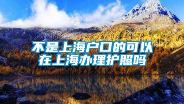 不是上海户口的可以在上海办理护照吗