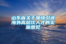 山东省关于加快引进海外高层次人才的实施意见