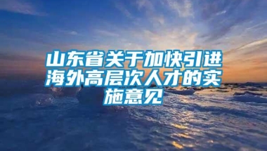 山东省关于加快引进海外高层次人才的实施意见