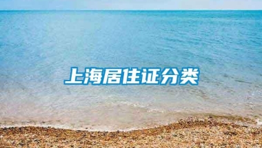 上海居住证分类