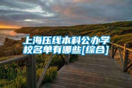 上海压线本科公办学校名单有哪些[综合]