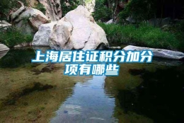 上海居住证积分加分项有哪些