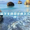 留学生回国发展怎么样