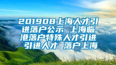 201908上海人才引进落户公示 上海临港落户特殊人才引进 引进人才 落户上海