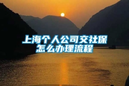 上海个人公司交社保怎么办理流程