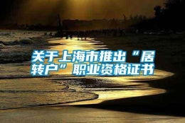 关于上海市推出“居转户”职业资格证书