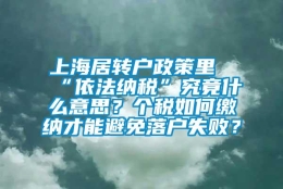 上海居转户政策里“依法纳税”究竟什么意思？个税如何缴纳才能避免落户失败？