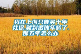 我在上海只能买十年社保.就到退休年龄了.那五年怎么办