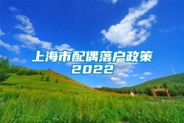 上海市配偶落户政策2022