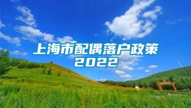 上海市配偶落户政策2022