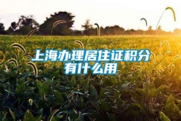 上海办理居住证积分有什么用