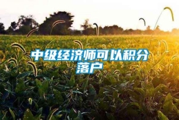 中级经济师可以积分落户