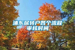 浦东居转户各个流程审核时间