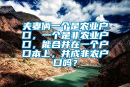 夫妻俩一个是农业户口，一个是非农业户口，能合并在一个户口本上，并成非农户口吗？