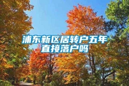 浦东新区居转户五年直接落户吗