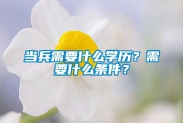 当兵需要什么学历？需要什么条件？