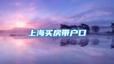 上海买房带户口