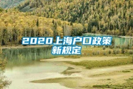 2020上海户口政策新规定