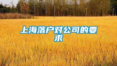 上海落户对公司的要求