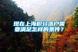 现在上海积分落户需要满足怎样的条件？