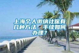 上海个人缴纳社保有几种方法，手续如何办理？