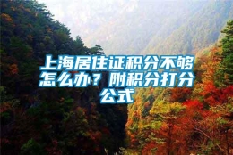 上海居住证积分不够怎么办？附积分打分公式