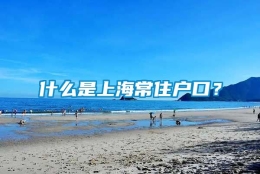 什么是上海常住户口？