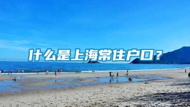 什么是上海常住户口？