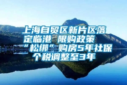 上海自贸区新片区落定临港 限购政策“松绑”购房5年社保个税调整至3年