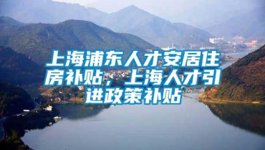 上海浦东人才安居住房补贴，上海人才引进政策补贴