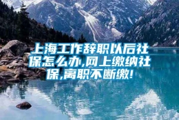 上海工作辞职以后社保怎么办,网上缴纳社保,离职不断缴!