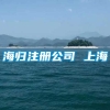 海归注册公司 上海