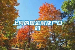 上海的国企解决户口吗