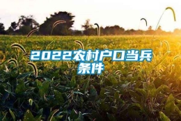 2022农村户口当兵条件