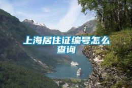 上海居住证编号怎么查询