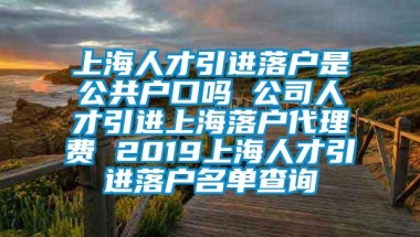 上海人才引进落户是公共户口吗 公司人才引进上海落户代理费 2019上海人才引进落户名单查询