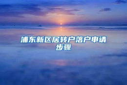 浦东新区居转户落户申请步骤