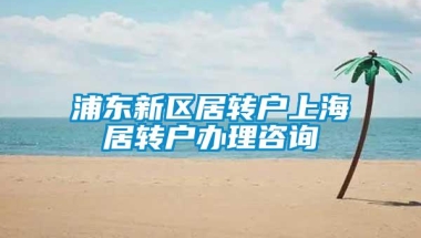 浦东新区居转户上海居转户办理咨询