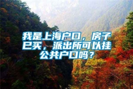 我是上海户口，房子巳买，派出所可以挂公共户口吗？