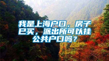 我是上海户口，房子巳买，派出所可以挂公共户口吗？