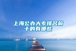 上海公办大专排名前十的有哪些