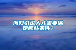 海归引进人才需要满足哪些条件？