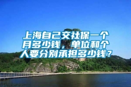 上海自己交社保一个月多少钱，单位和个人要分别承担多少钱？